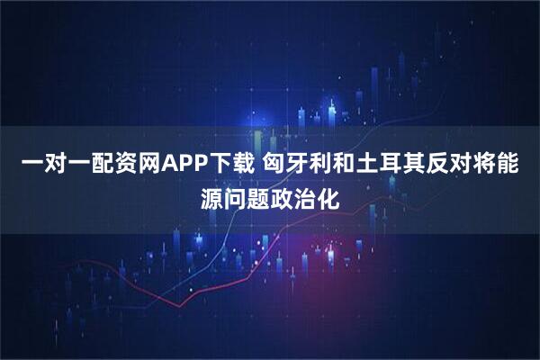 一对一配资网APP下载 匈牙利和土耳其反对将能源问题政治化