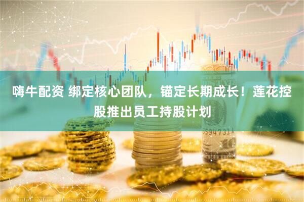 嗨牛配资 绑定核心团队，锚定长期成长！莲花控股推出员工持股计划